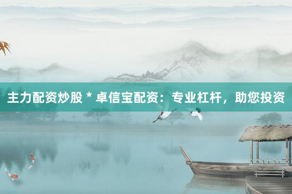 主力配资炒股 * 卓信宝配资：专业杠杆，助您投资